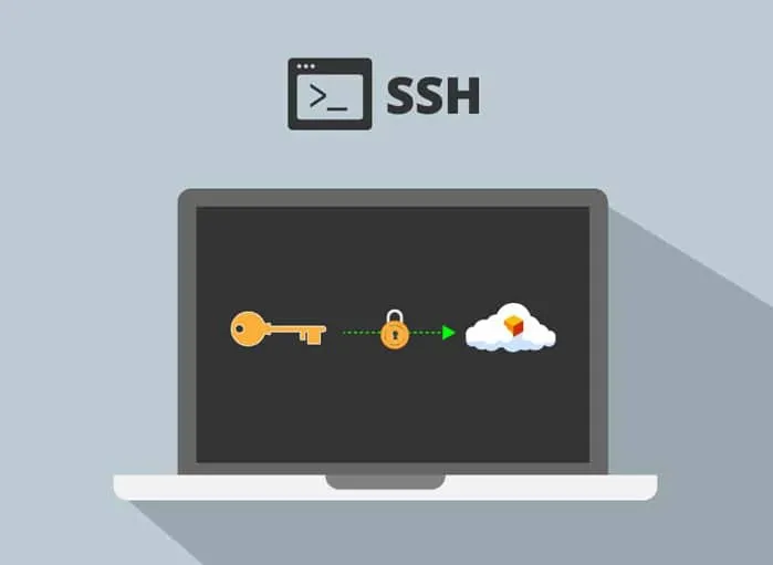 WordPress SSH Access for Regulated-Environment Operations