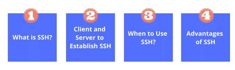 WordPress SSH