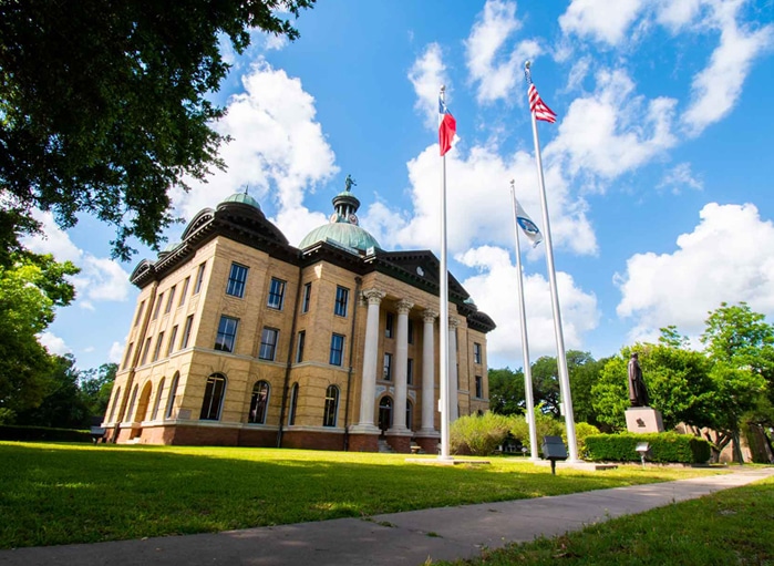 Fort Bend County: Enhanced the Online Presence of a Government Agency