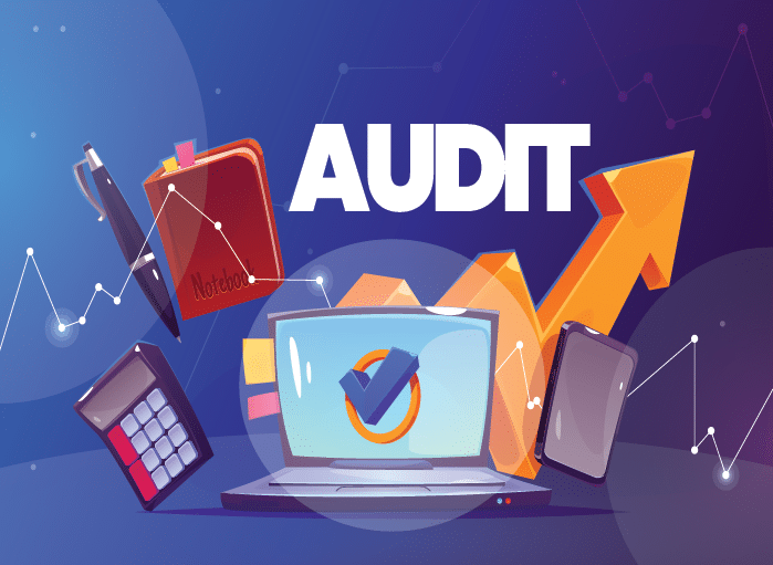 website audit 1