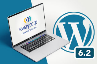Seek Professional Expertise WordPress 6.2