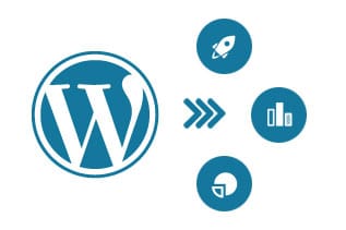 Why is Your WordPress WebSite Performance Non-Negotiable