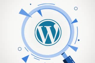 Understanding the Importance of WordPress 6.2.2