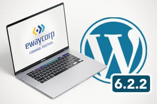 WordPress 6.2.2 Update