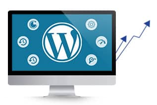 WordPress Website Optimization Need