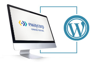 Take Professional Help for WordPress Website Optimization