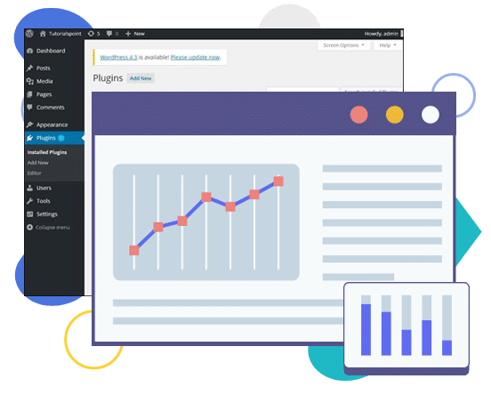 Hire WordPress Developer 02